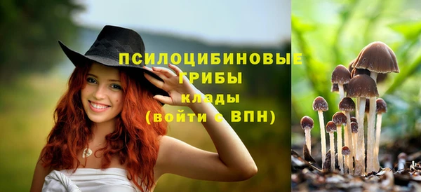 mdpv Киренск