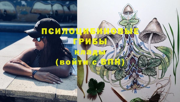 эйфоретик Киреевск