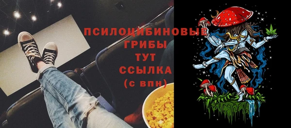 эйфоретик Киреевск