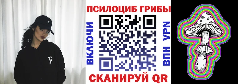Купить  Киреевск  Псилоцибиновые грибы Psilocybine cubensis 