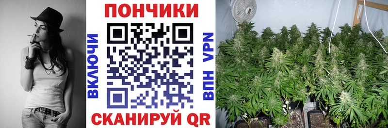 Купить  Киреевск  Канабис MAZAR 